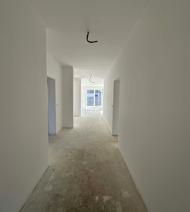 25a2308.jpg