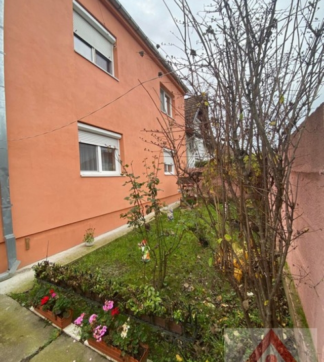 a1131-CasaAzuga11.JPG