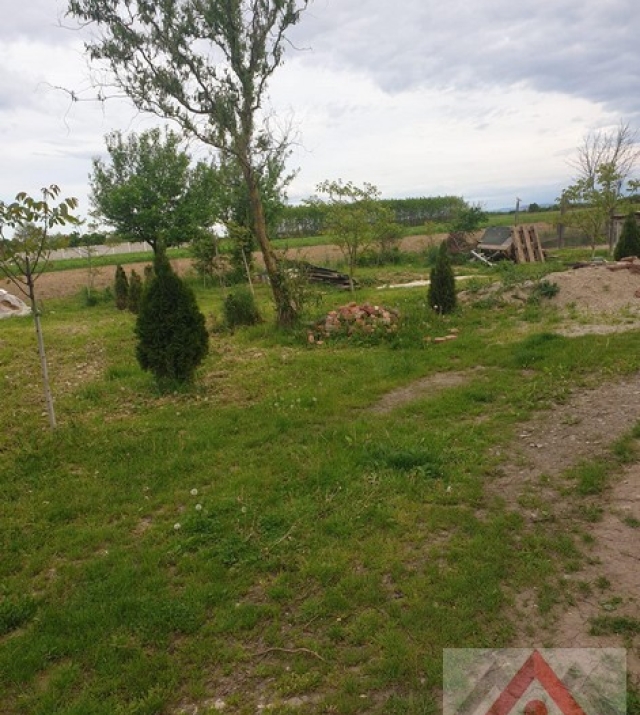 a1243-PescarieVetis07.JPG