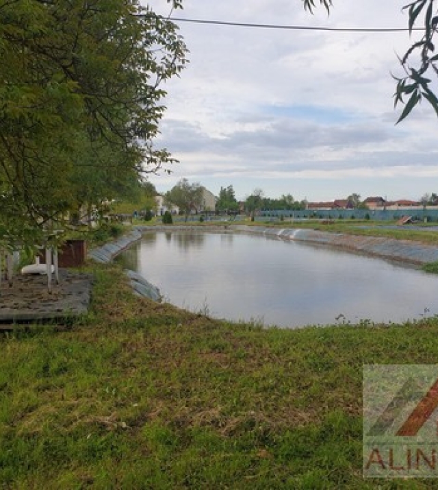 a1243-PescarieVetis08.JPG