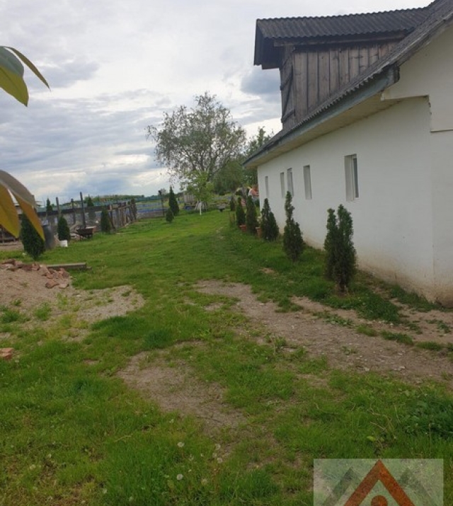 a1243-PescarieVetis09.JPG